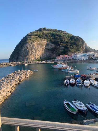 Sant'Angelo Apartment | Suite Capri