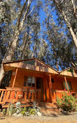 Isla Negra Cabin | Suite con DESAYUNO SOLO PARA DOS Ó Cabañas familiares Los PINARES DEL MAR -Pet friendly