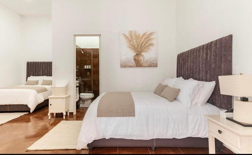 Tecozautla Apartment | Suite Copal