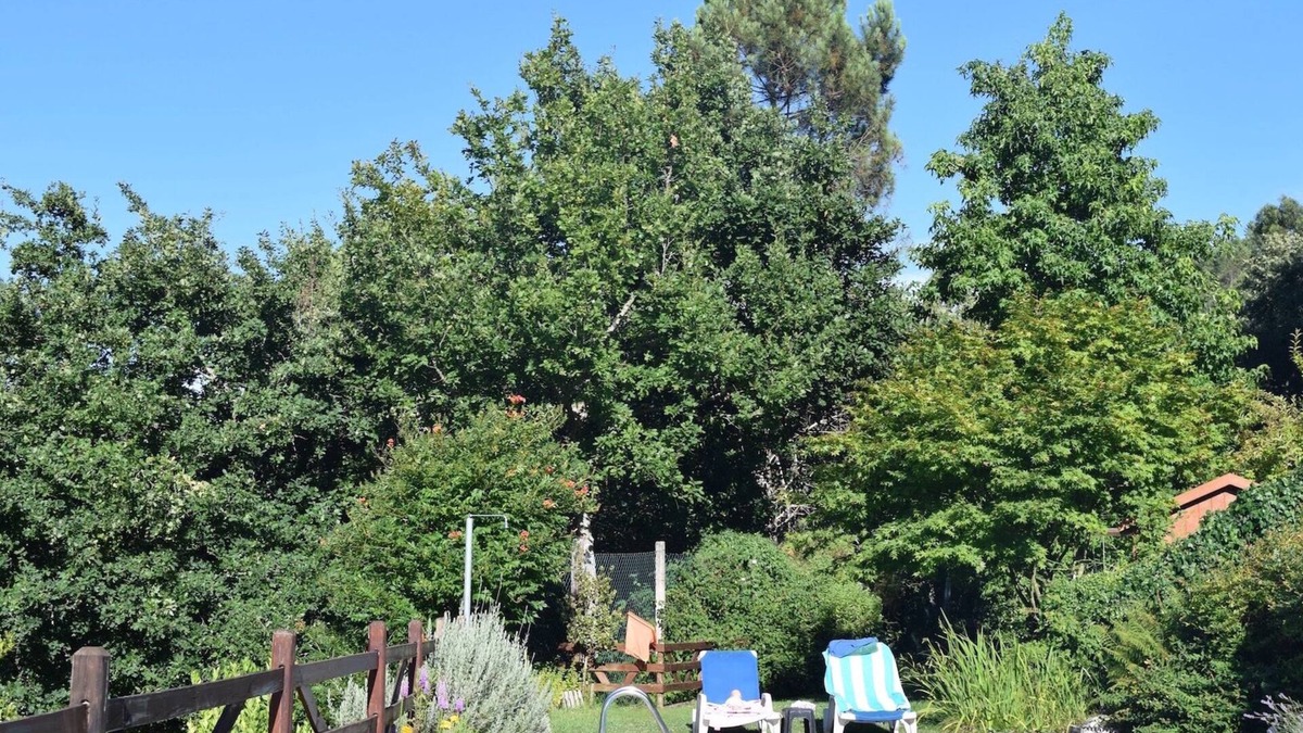 Sao Cristovao de Lafoes Bed & Breakfast | Suite with independent entrance