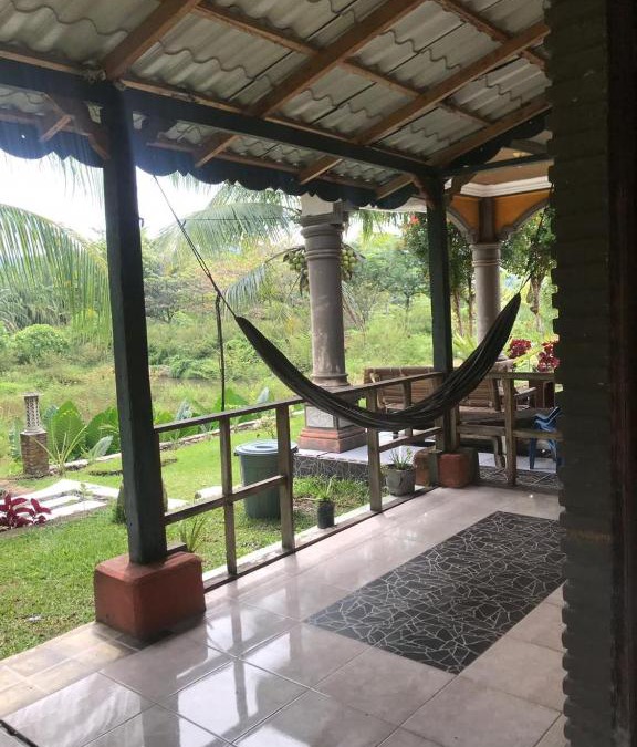 Bohorok House | Sumatra Cheeky Monkeys