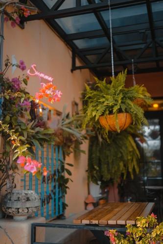 South Beach House | Summer Delight B&B