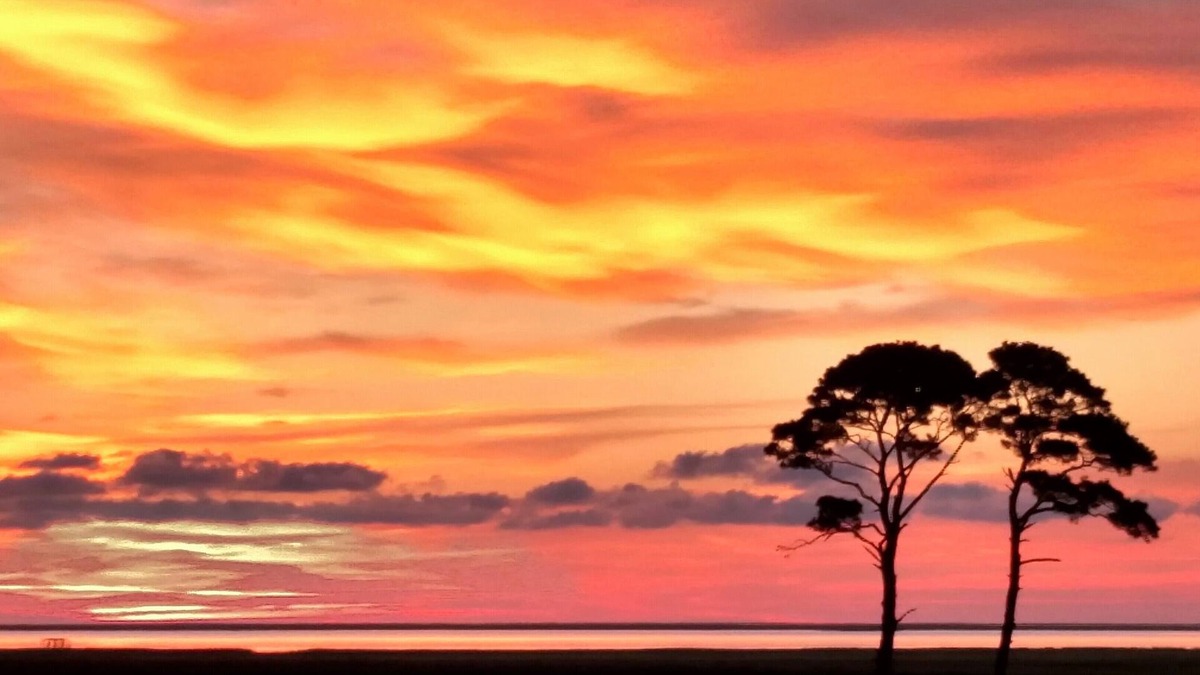 Cape Charles House | Summer's End SALE- 100Acre Private WATERFRONT Home- NatureLovers Paradise&Views!