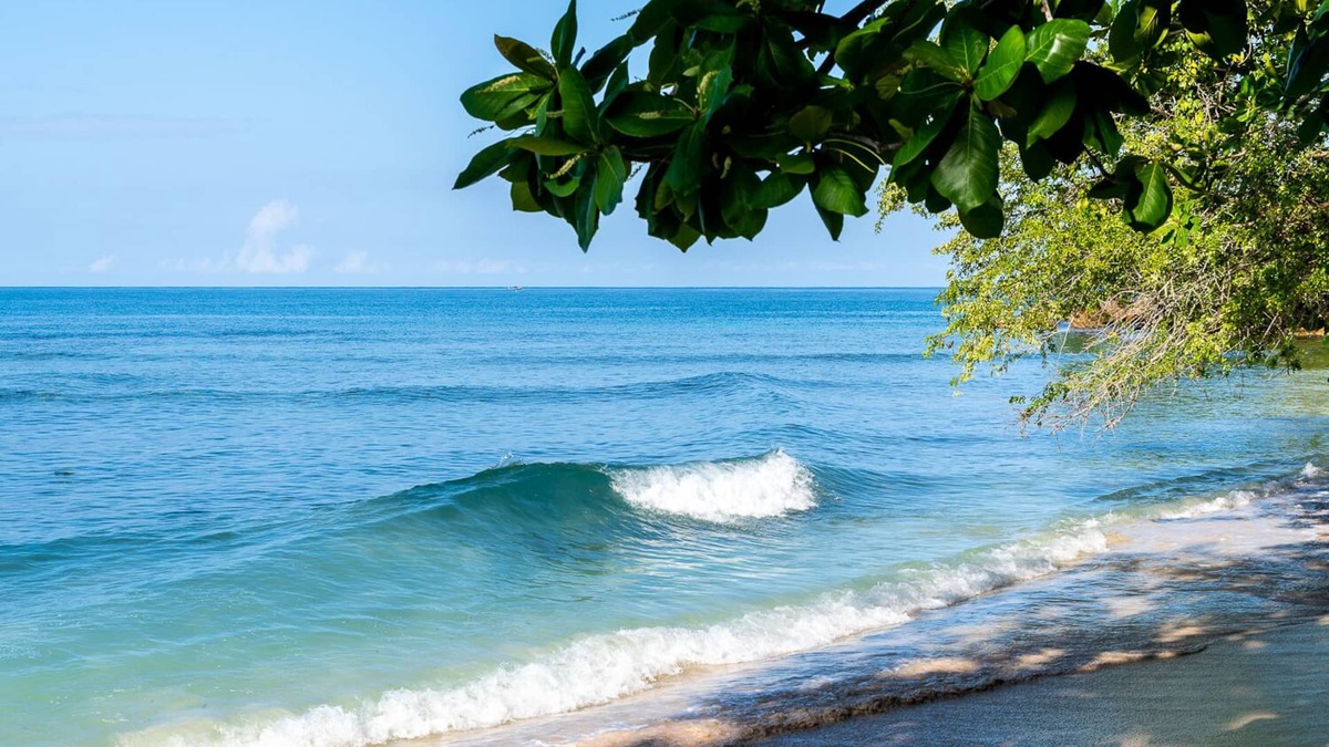 Negril House | Summers Dream. your dreams become a reality.