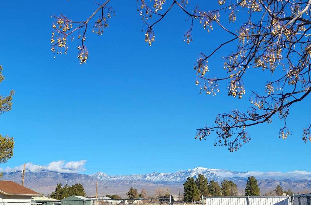 Pahrump House | Sun Angel House #2 Pahrump