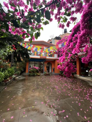 Chhetrapati House | Sun Rise Cottage