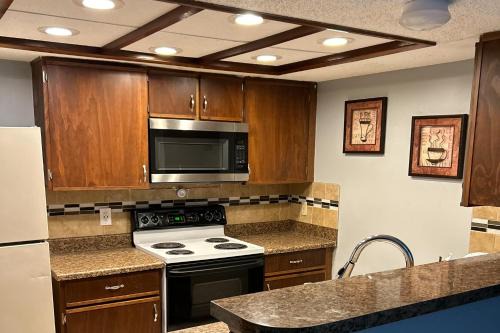 Arlington Apartment | Sun & Shine