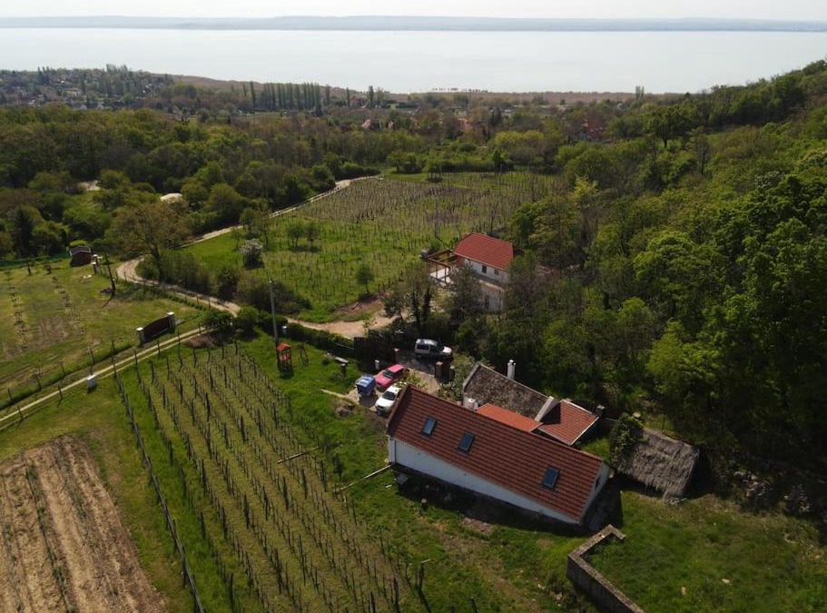 Abrahamhegy House | Sun & Wine Balaton