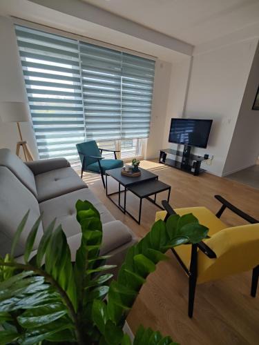 Zrenjanin Apartment | Sunflower Apartments