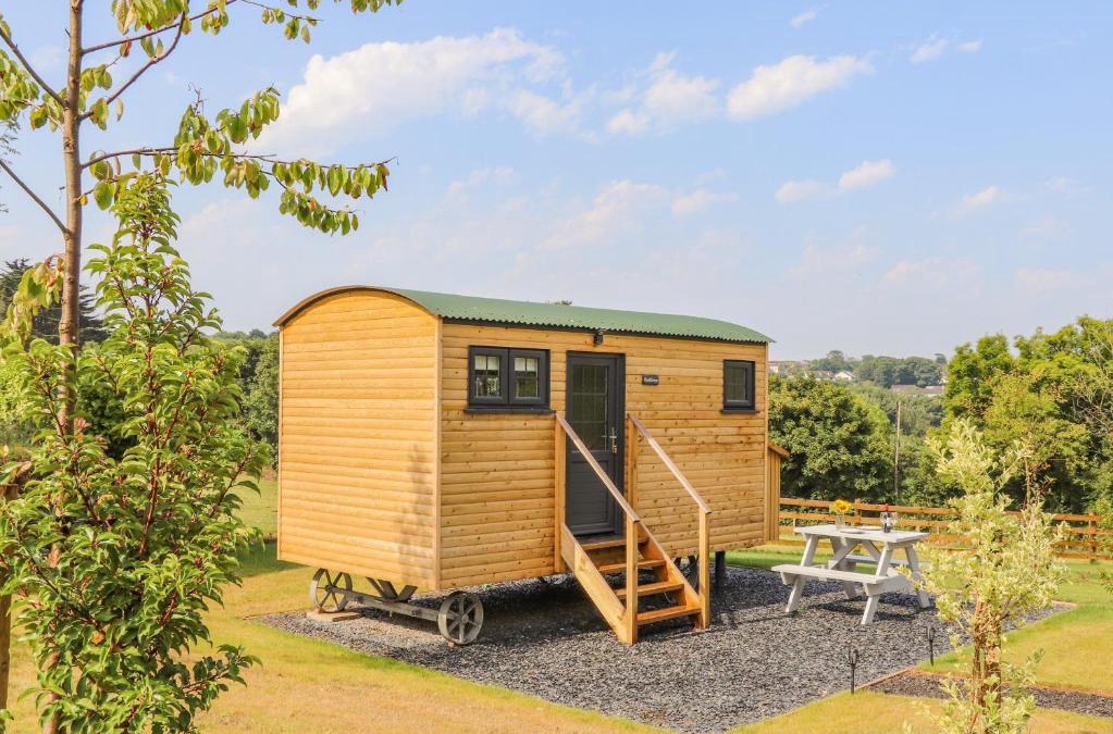 Illogan House | Sunflower