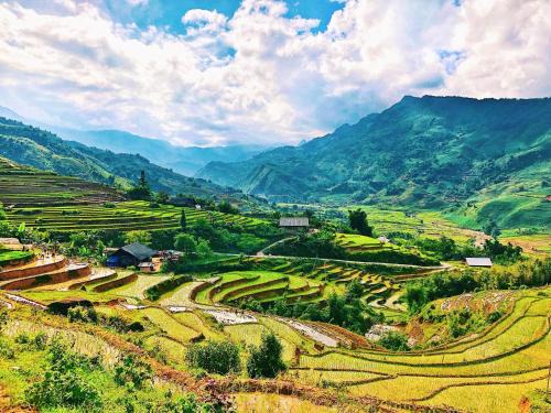 Sa Pa Bed & Breakfast | Sunlit Homestay & Travel Sapa