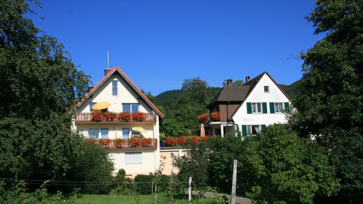Schliengen Apartment | Sunny and quiet apartments surrounded by greenery