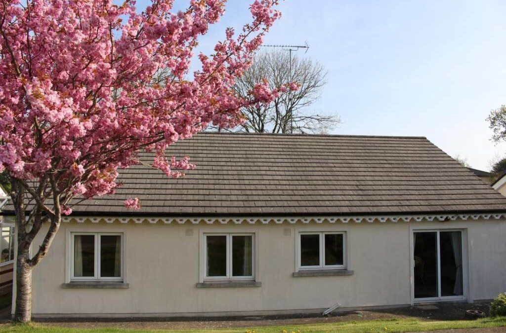 Courtown House | Sunny Bungalow