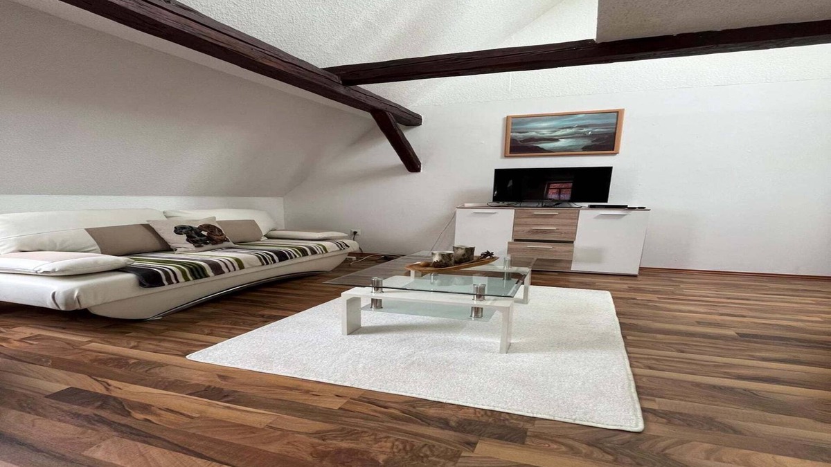 Elbingerode Apartment | Sunny Loft with Mountain Views