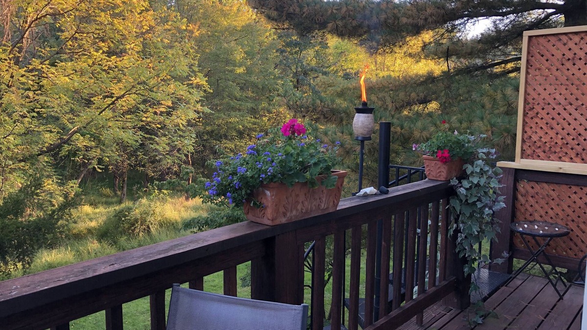 Wheaton-Glenmont House | Sunny Peaceful Suburban Washington DC Escape