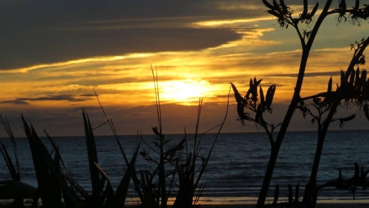 Mahia House | Sunny quiet bach by the beach