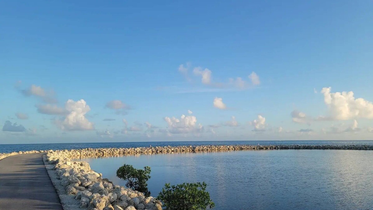 Tavernier Cottage | Sunny Tavernier Key Cottage!