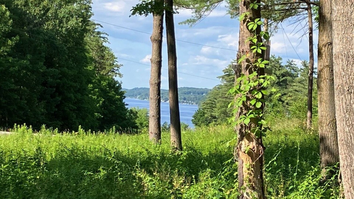 Malta Condo | Sunrise at Saratoga Lake 1B