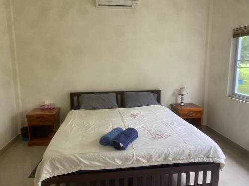 Mae Wong Other | Sunrise Camping Homestay Room 2