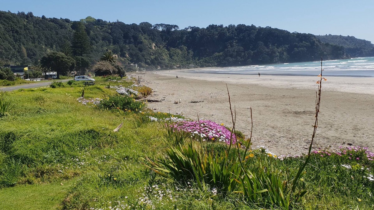 Ohope Apartment | Sunseeker Apartment 1 minute walk to Ohope Beach