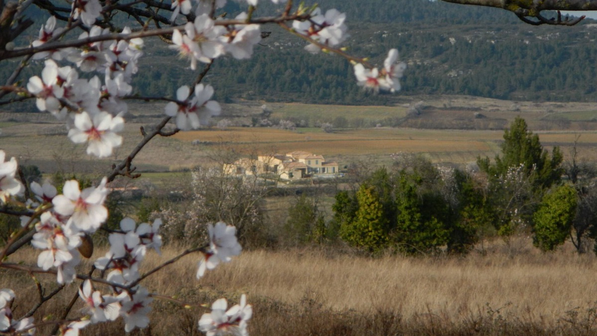 Tournissan Apartment | "Sunset apartment" at La petite Auberge, 1 - 5 p in a haven of peace!