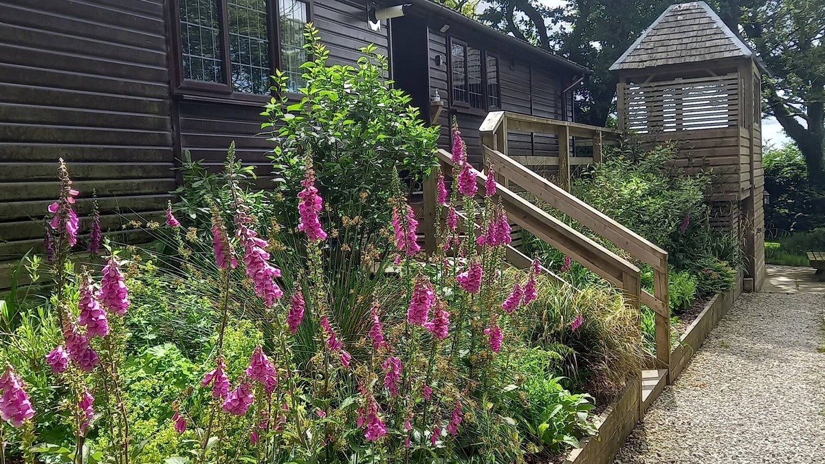Brayford Cabin | Sunset Cabin, watch the sunset over the north Devon horizon in this cosy cabin!