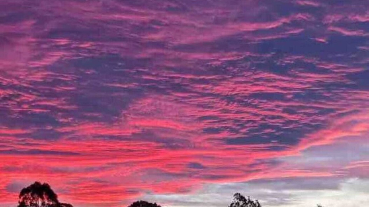 Bairnsdale Apartment | Sunset View Manor
