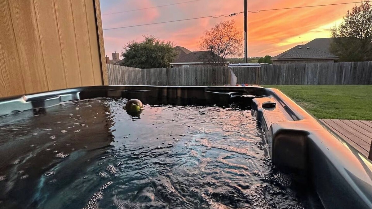 Killeen House | Sunset Zen Space