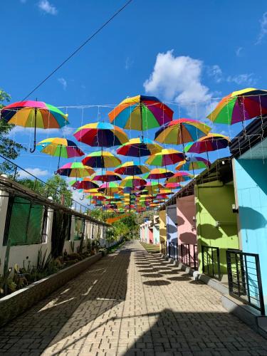 Panglao Hotel | Sunshine Stay Panglao
