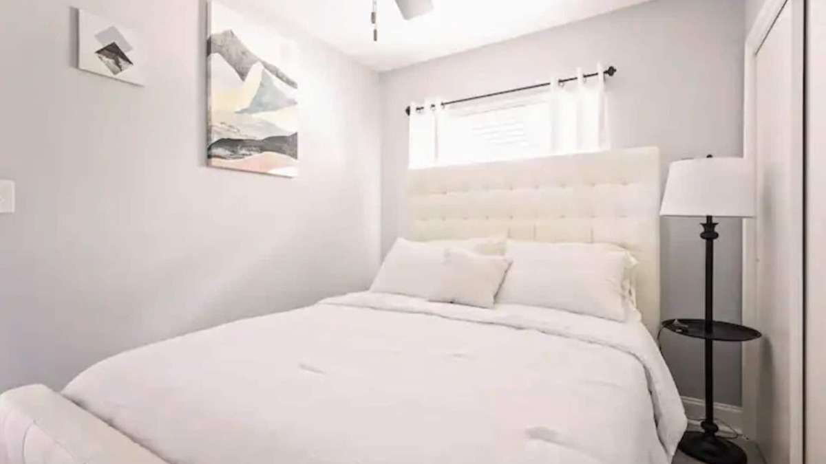Carrollwood House | Super cozy home away in Tampa