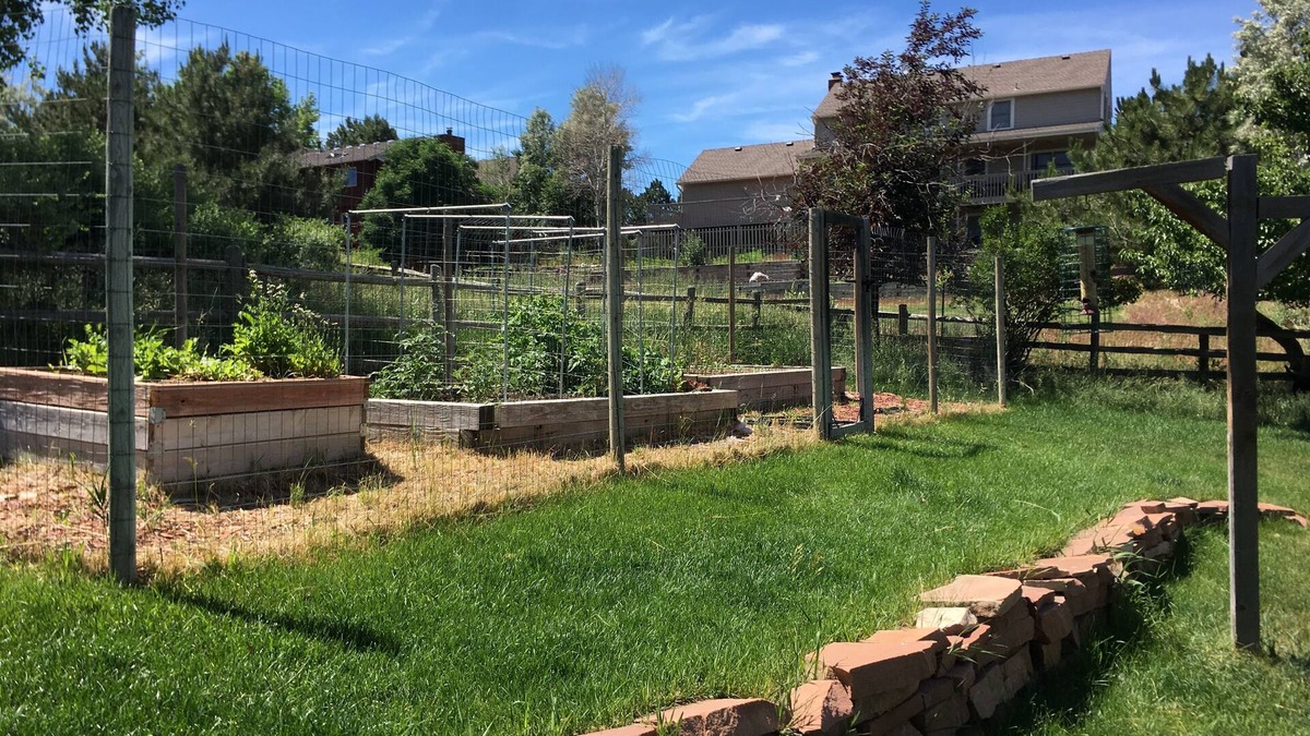 The Pinery Apartment | Super cute 500 ft2 basement apartment. Pet friendly for well behaved pets.