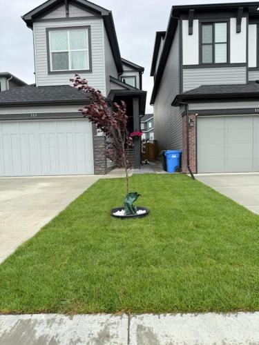 Calgary House | Super house