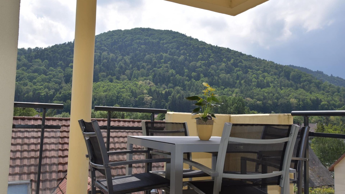 Kaysersberg-Vignoble Apartment | Superb apartment in a quiet residence with mountain views