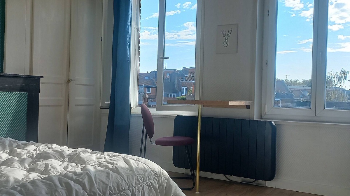 Lille-Moulins Apartment | Superb, bright apartment