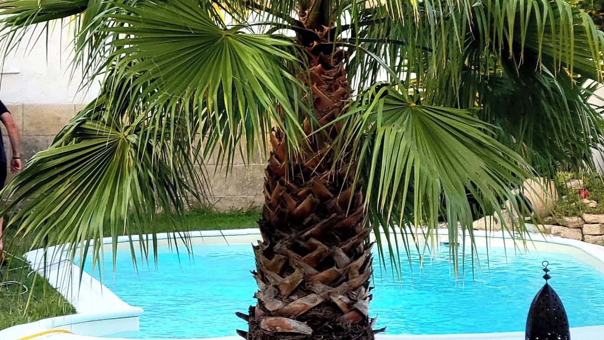 Beaucaire Villa | Superb, comfortable villa with swimming pool