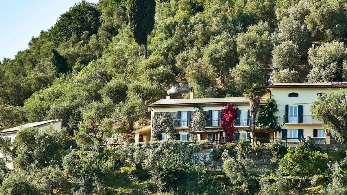 Vicopelago House | Superb Olive Grove House - Lovely Pool! Views LEANING TOWER! Near Pisa & Lucca.
