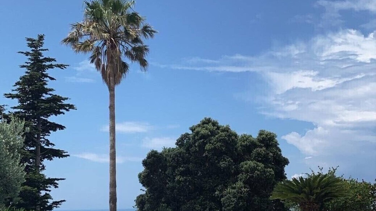 San Lucido Villa | Superb panoramic villa in San Lucido, Calabria