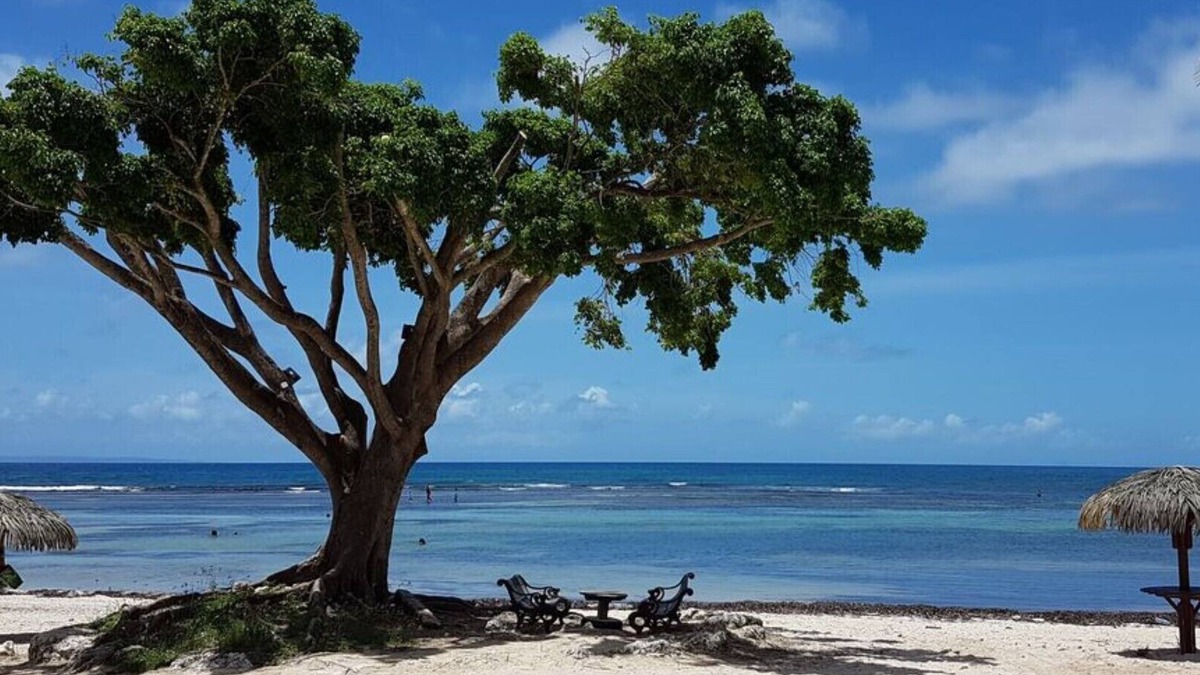 Anse des Rochers Apartment | Superb Studio "Lespiedsdansleau" 34 m2 garden level, sea view 2/3 persons