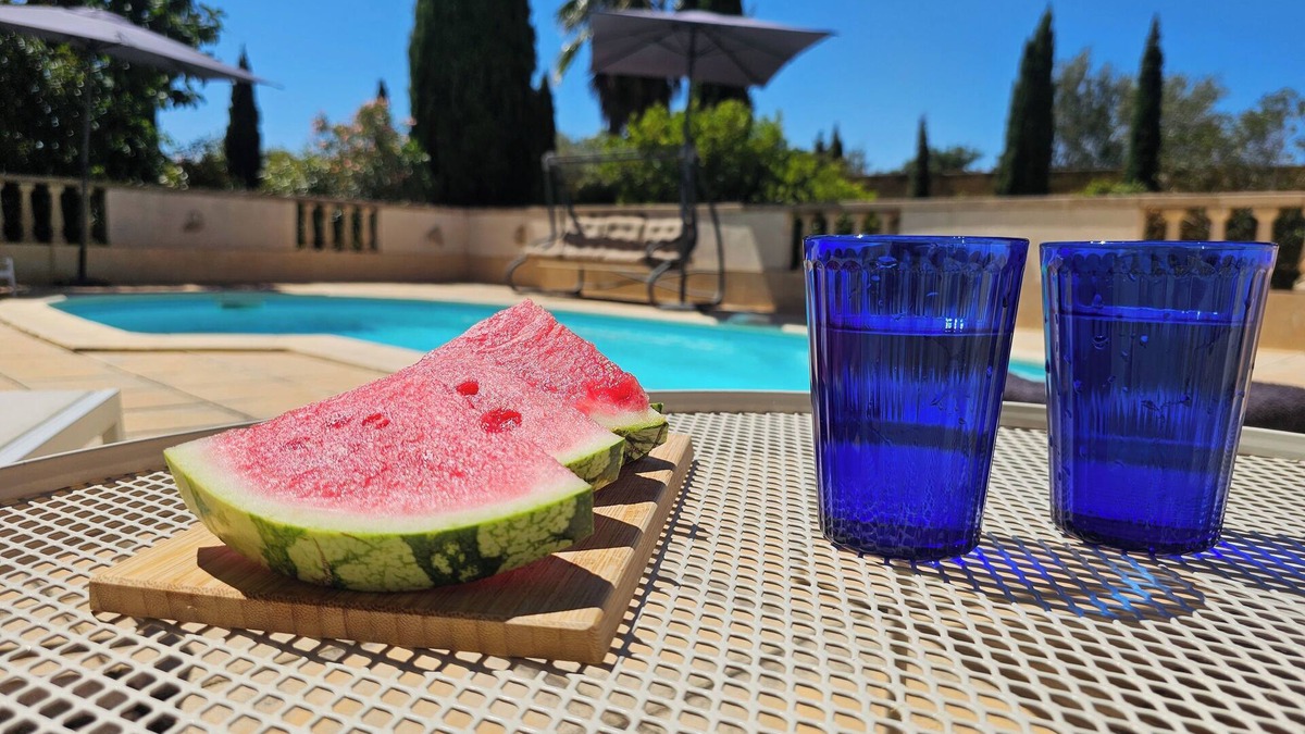Bize-Minervois House | Superb villa with a private pool in Bize