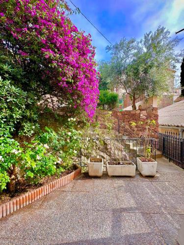Espero-Pax Apartment | Superbe 3 pieces - 6 pers - Clim - Jardin - Apercu mer