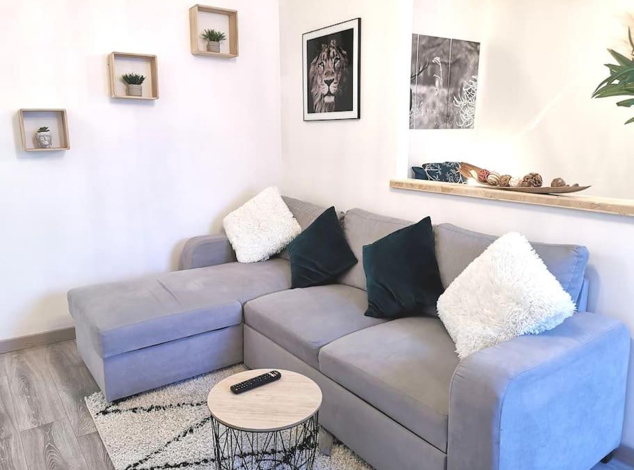 Morez Apartment | Superbe appartement centre ville proche des pistes