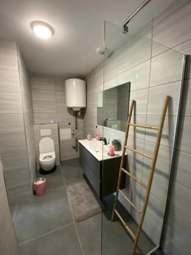 La Roche-sur-Foron Apartment | Superbe studio avec terrasse