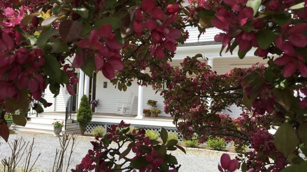 Williston North House | Superior Suite with Queen Bed, Living Room, Kitchen, Private bathroom