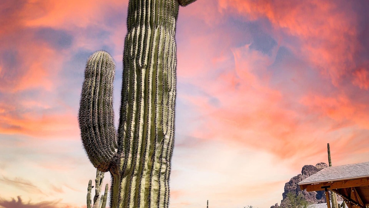 Apache Junction House | Superstition Mountains at Your Doorstep! Remodeled Bungalow!