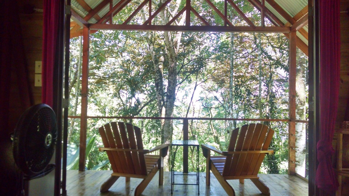 Bocas del Toro Cabin | Surf Break At Paunch: Enjoy The Surf And Tree House Views In Our Tree Cabin