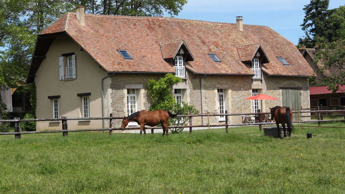 Semalle House | surrounded by horses, superb character longère - 14 pers. - 7 bedrooms