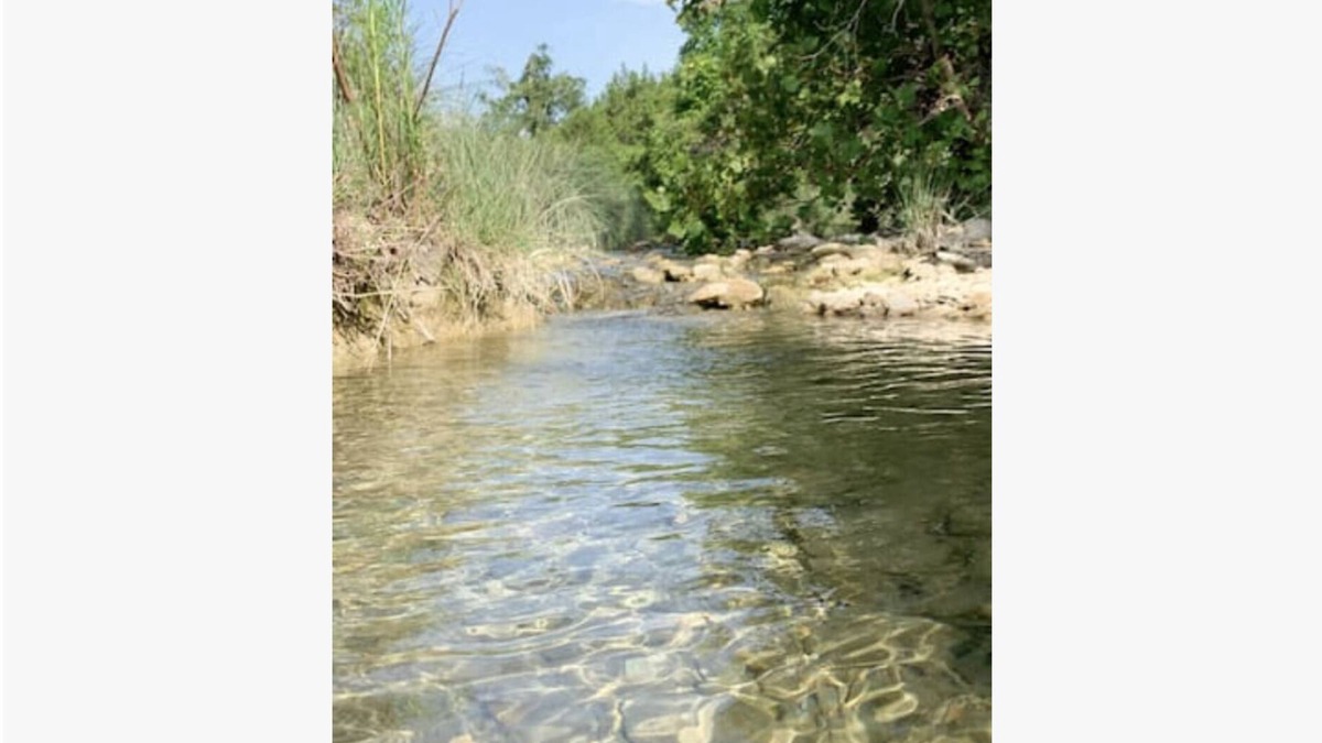 Blanco Cabin | Surya Nature Retreat on 40 Acres with Amazing Views!