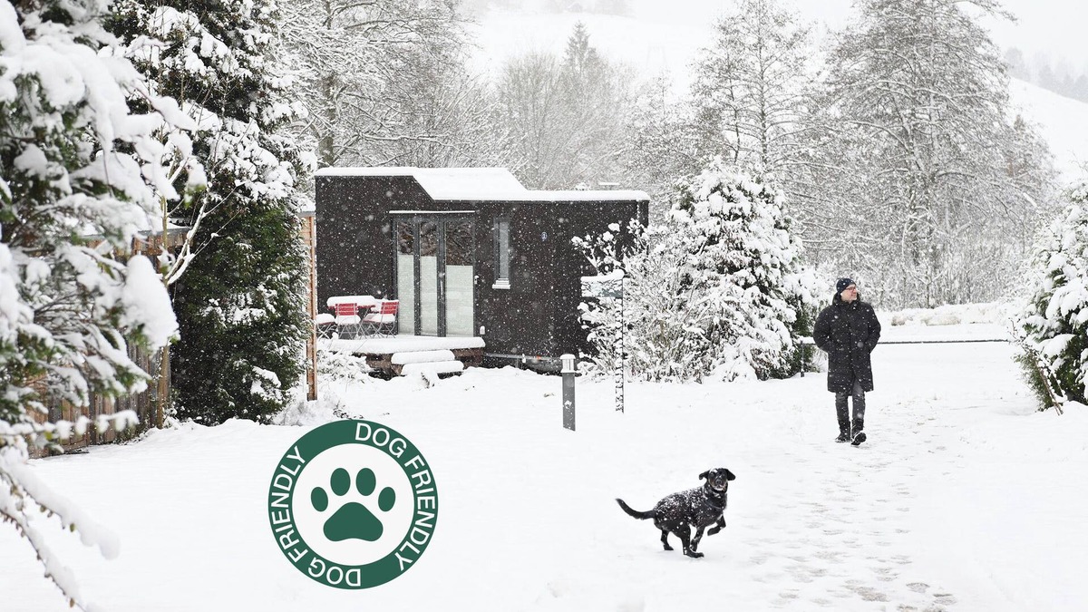 Osterode am Harz House | Sustainable vacation with a dog at the Green Tiny House Nature 1 in Osterode am Harz
