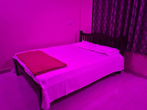 Devbag Bed & Breakfast | Suyog Homestay Malvan Monsoon Packages