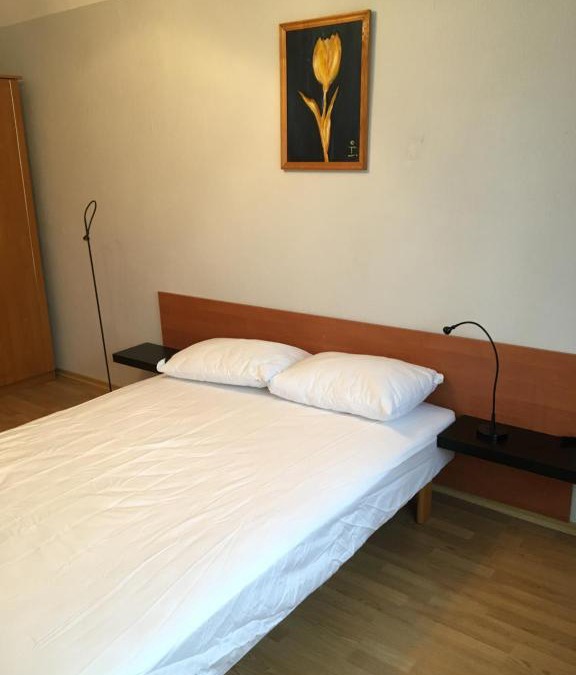 Daugavpils Apartment | Sveiki apartment